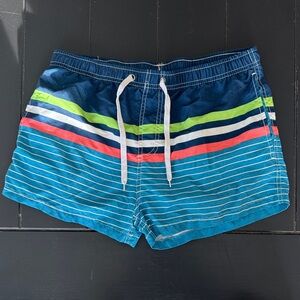 Men's Striped Swim Trunks in Blue and Green